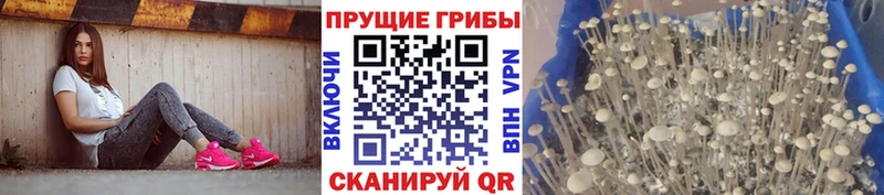 Псилоцибиновые грибы Magic Shrooms  Бавлы 